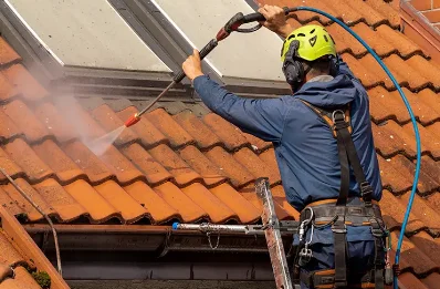 Démoussage et hydrofuge de toiture à Succieu